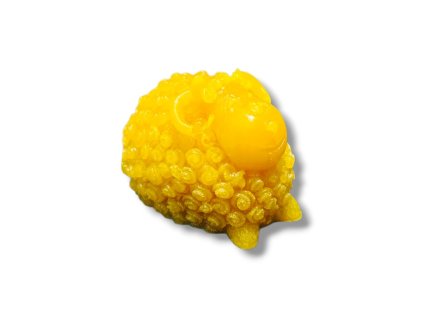 476 whatsapp image 2024 12 22 at 22 19 51 Photoroom 2025 01 06T212608.603