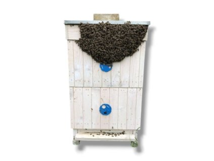 Adopcia - Adopcia ako darček