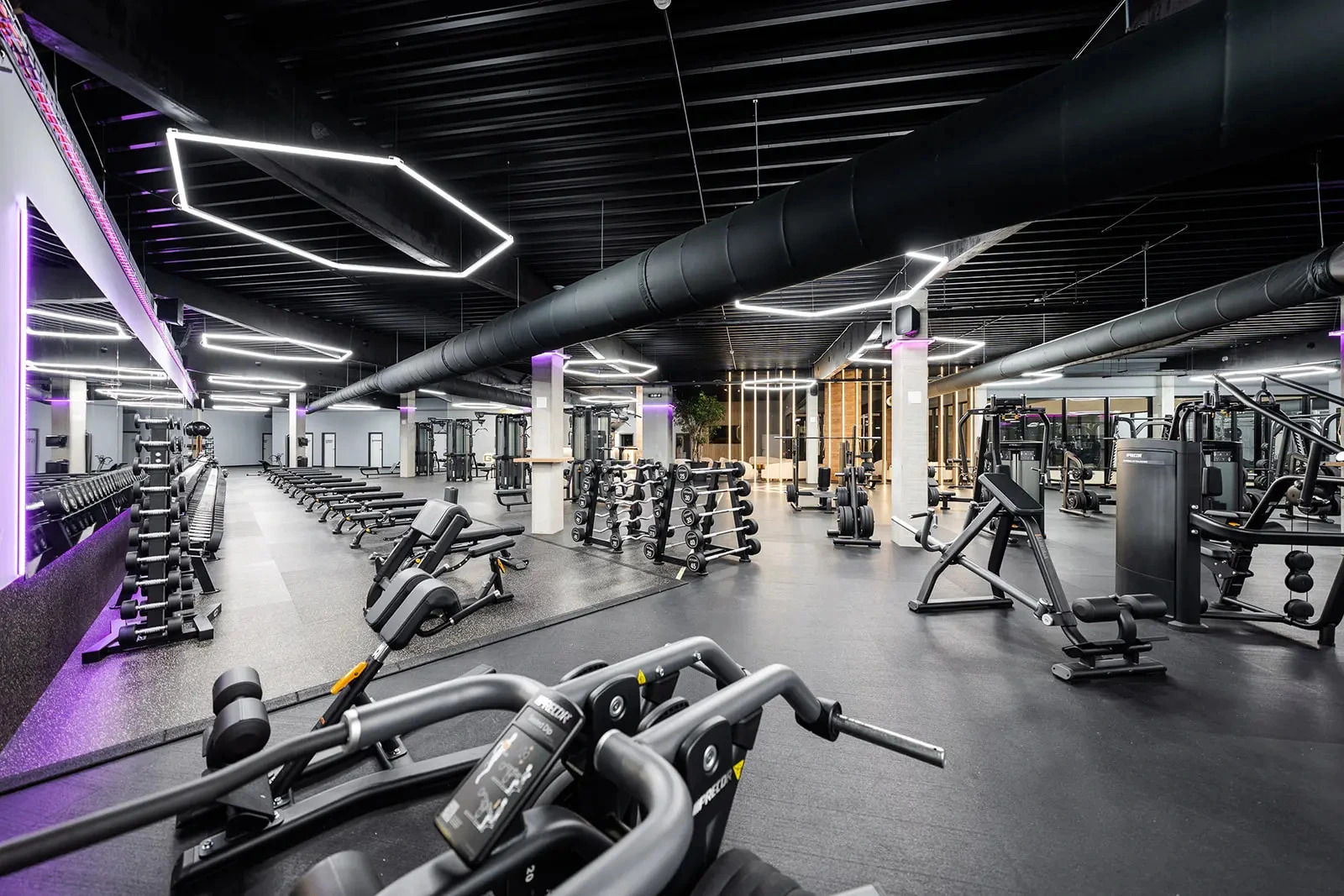 GYMNATION