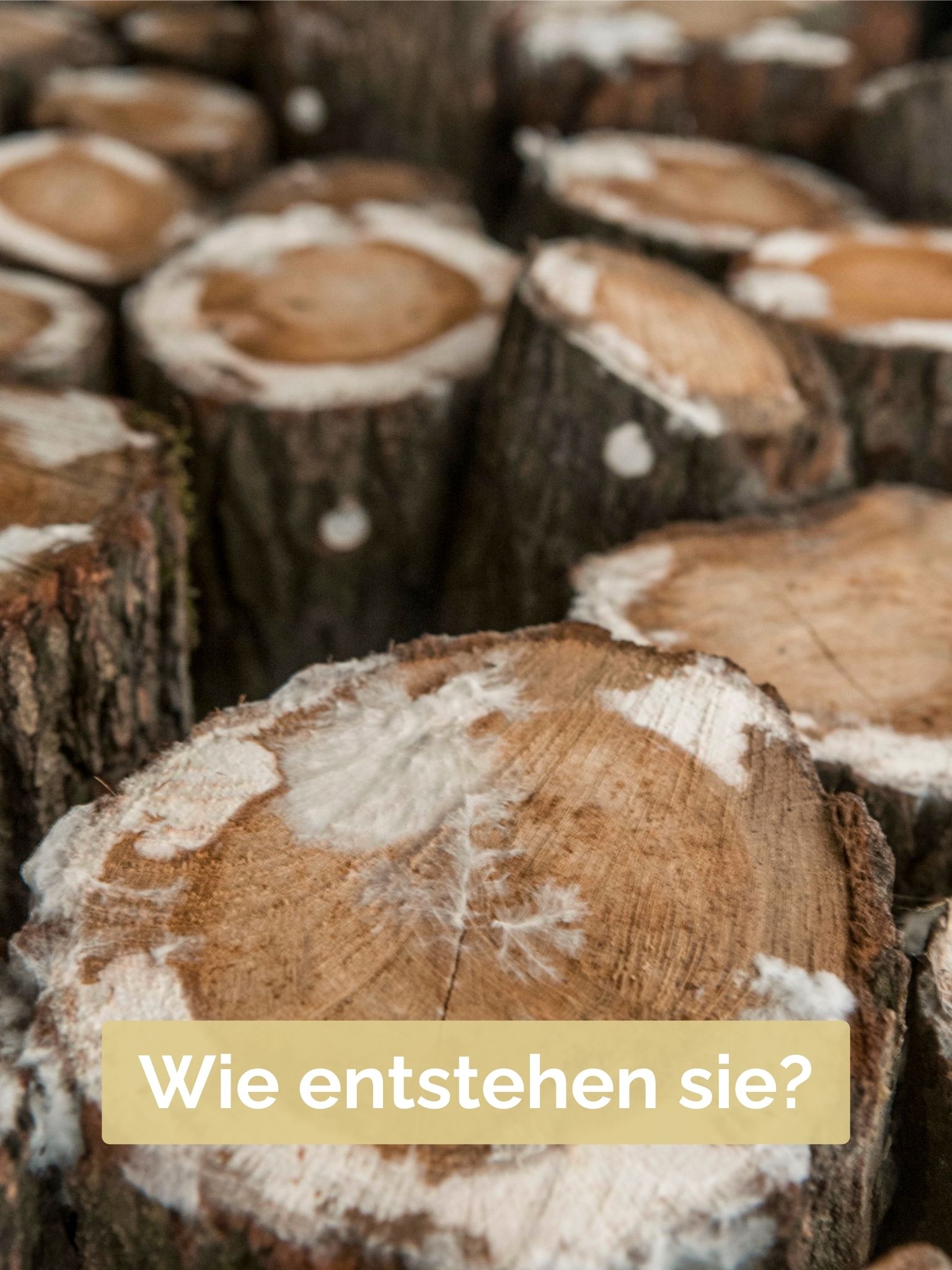 Wie entstehen sie?