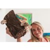 Shiistamm - Shiitake aus Eiche S