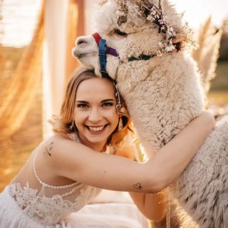 V minulém příspěvku jsme slíbili ukázku, že i lamy umí být skvělými svatebními parťáky 🤗 Děkujeme všem šikovným...