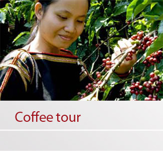 coffee_tour