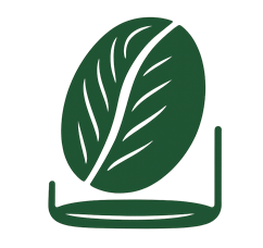 Pestujeme vlastnú kávu