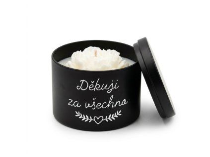 svicka maminka kytka plech