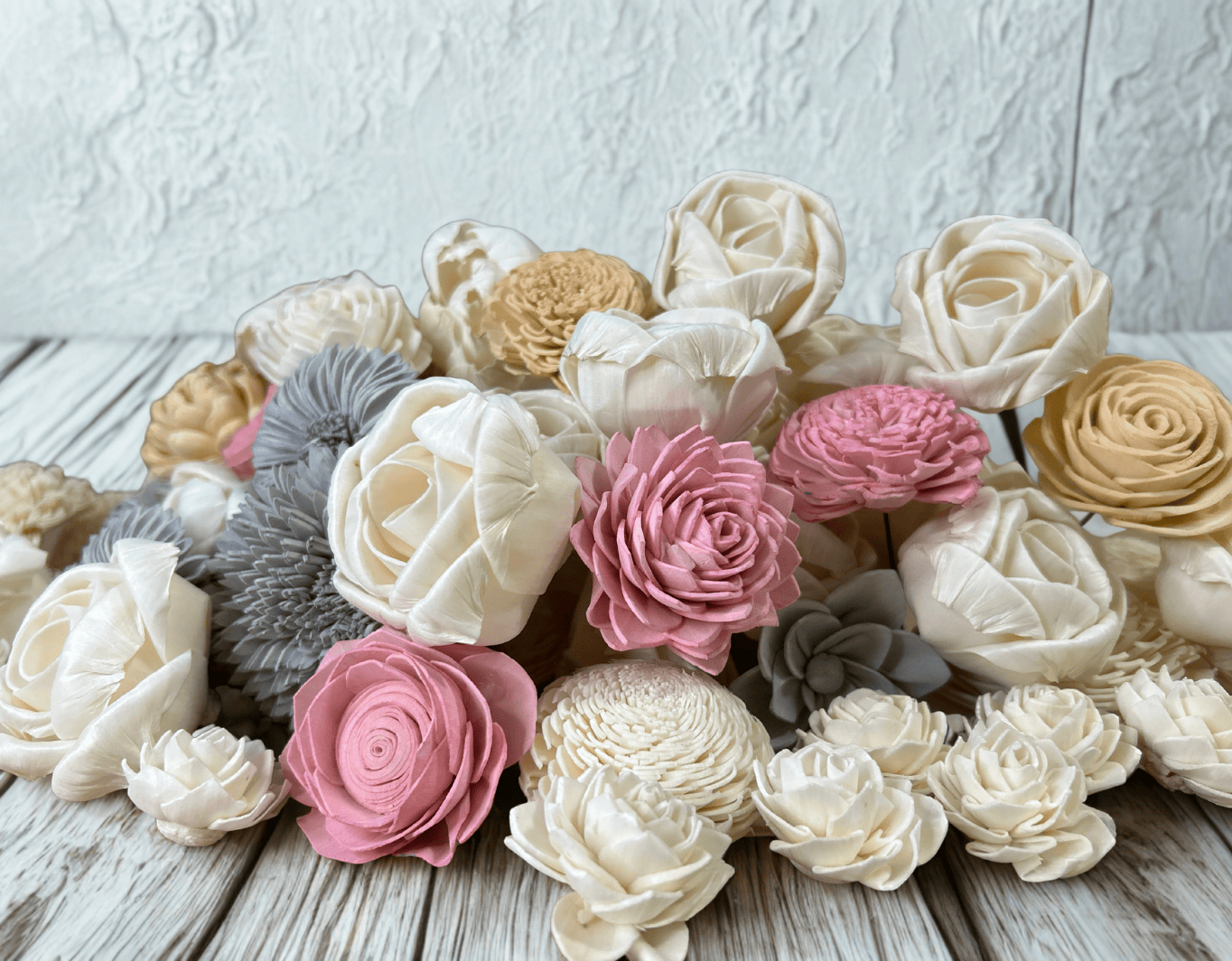 Jak barvit TRVALÉ KVĚTY SOLA