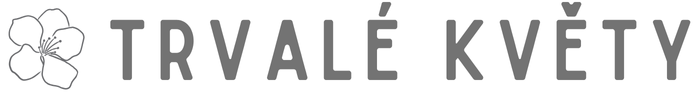 Trvalé květy