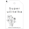 Super učitelka