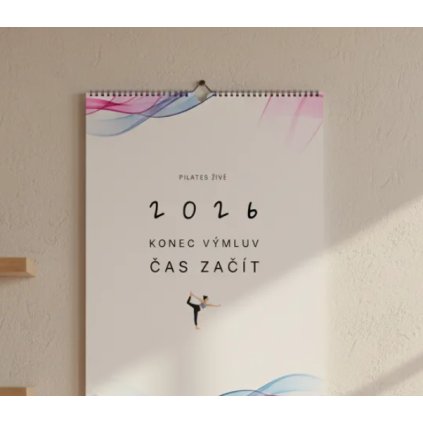 Snímek obrazovky 2025 11 20 100801