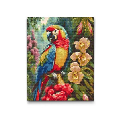 462554753 4079384618973086 261023319448913708 n (1)