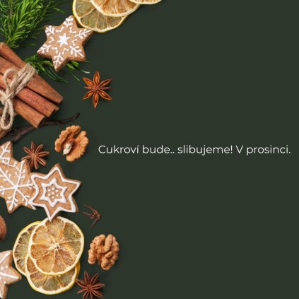 Cukroví bude.. slibujeme! V prosinci.