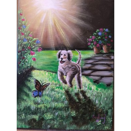 Obrázek pro všechny, kterým udělá radost