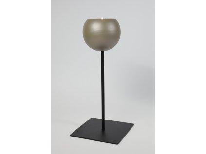 tulip velký béžový