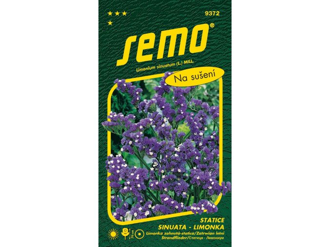 Limonka Statice sinuata - Dark Blue fialová 0,5g