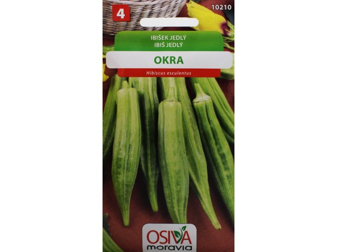 Ibišek jedlý (Okra)