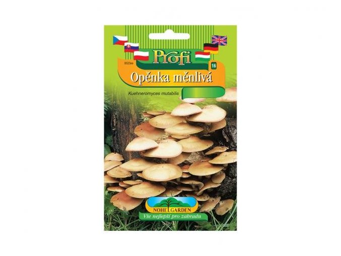 Opěnka měnlivá (Kuehneromyces mutabilis)