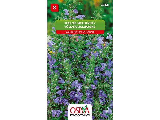 b087e432 365a 4392 b1d5 fff929c81ff7