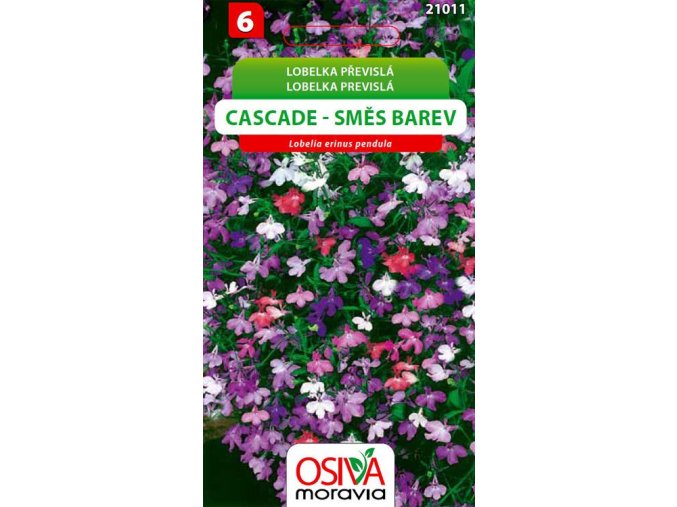 Lobelka převislá - Cascade - směs barev