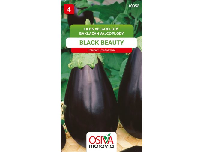 d0075532 9ca2 4d4e 9bcf 4b48543de3eb