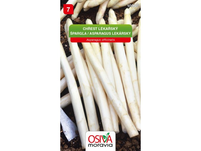 219d89db 7ffa 4e0a 9a7c 8271d395d812