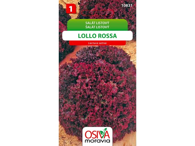 Salát listový - Lollo Rossa