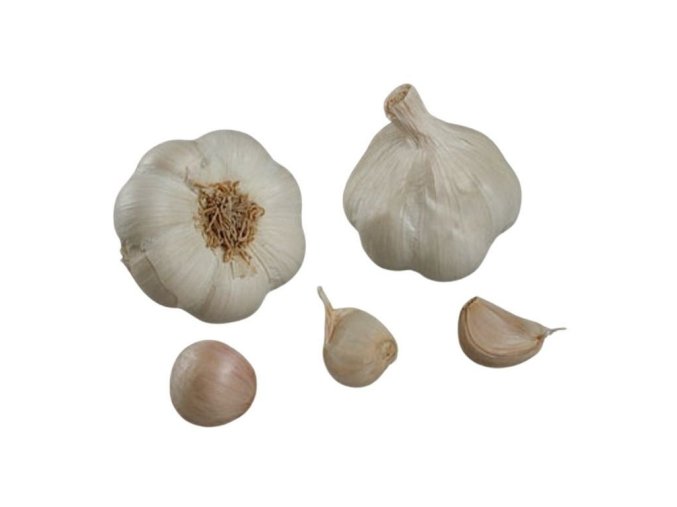 Francouzský sadbový česnek MESSIDROME