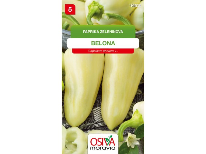 1b972ff8 3ec6 48a3 8e36 da556f5b2ed1