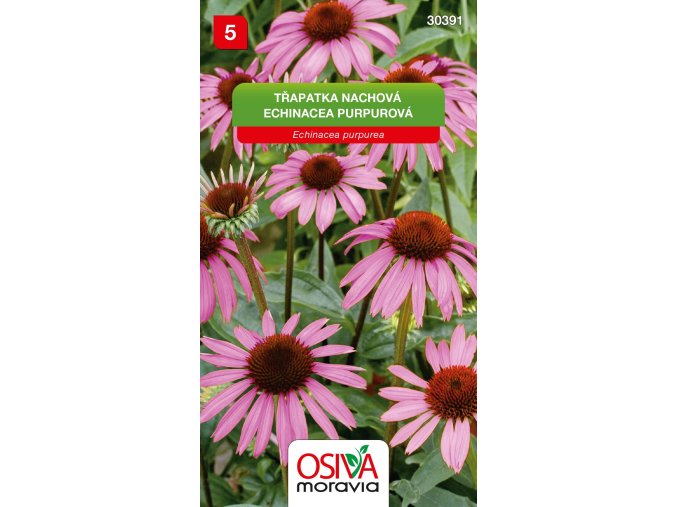 f77f55f5 9f43 4a50 b77b 88ce90785a94