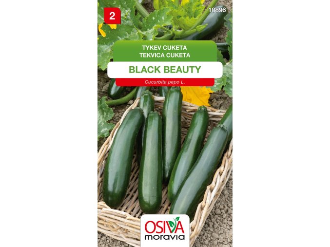 cdd73dd5 221f 4760 8a6e be19d3a26d10