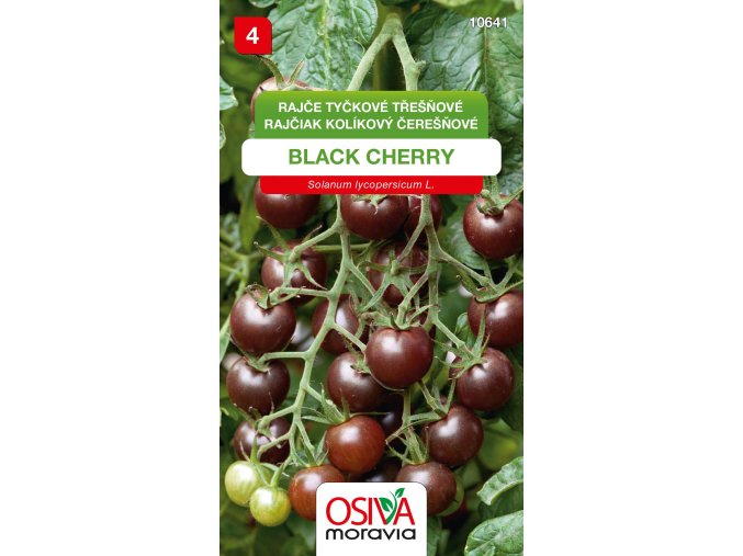 6dc094e9 1af3 47e2 ba1f c28deb73f945