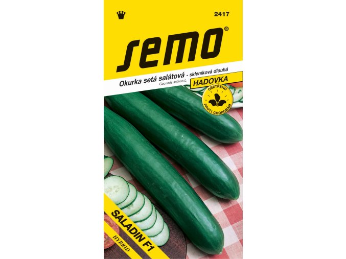 92e0bddc 6bff 41e2 839a 7aba189b569e