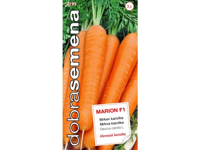 53c32a70 dad8 4b7d bfbc 905394f891f0