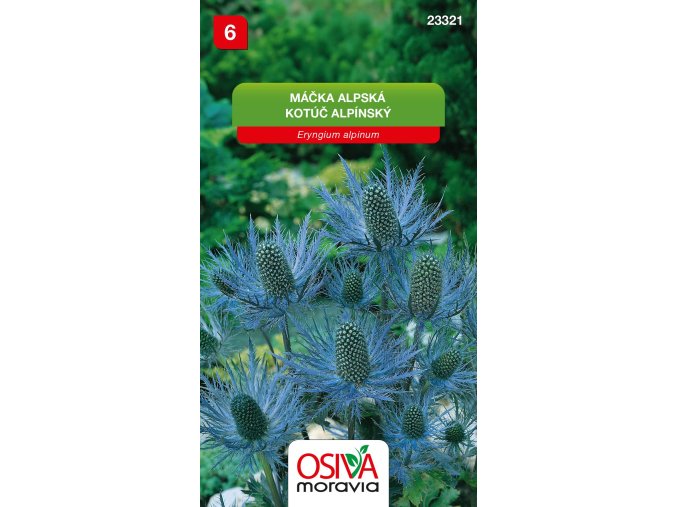 e38e1195 8118 438d b46d e0a1173159a8