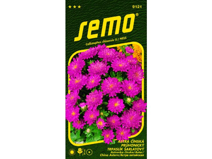 04ba4110 7851 4d24 985e 83ee5fa5c4db