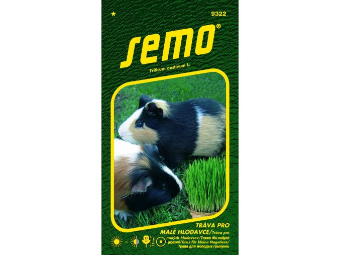 819f6f58 3ed5 47cf 958f 366546e29871