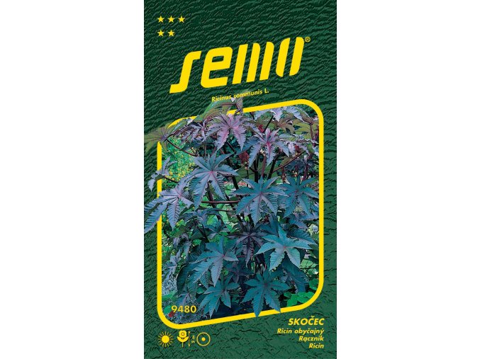 69d1e689 7158 4a95 822f 3bec3279c509