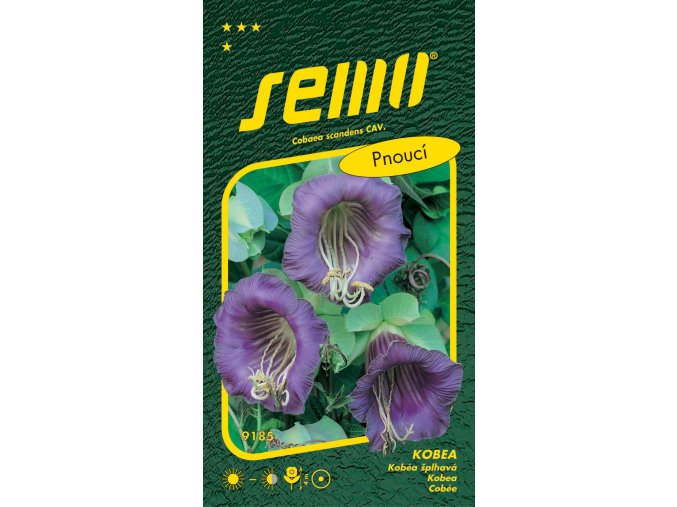 Kobea - vilec modrofialový Blue Bell 0,7g