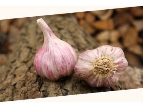 m15f6d42e429m0 slavin odruda