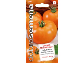 Dobrá semena Rajče tyčkové - Orange Wellington F1 biftekové 10s
