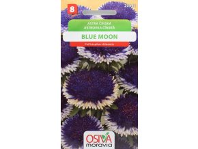 Astra čínská - pomponkovité - Blue Moon