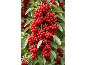 7f6fa588 8d33 47ed b75a fa096df6311b um