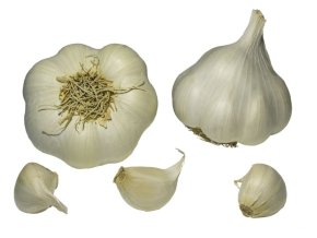 Francouzský sadbový česnek SABAGOLD