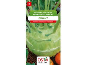 cf34997a e987 495b 9c83 e210dddf1301