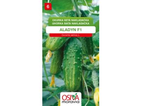 67e5a807 da97 44a6 bfe3 0f05da8ea0bd