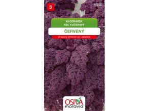 30fc654b 2a0a 42fd 809b c886559cd06d