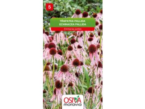 baa6c176 054d 473a b54b aaaf14d571a5