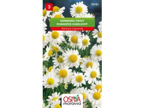 47a484cd 967b 4769 8f47 f33e1312aa1c