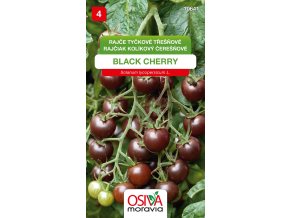 6dc094e9 1af3 47e2 ba1f c28deb73f945