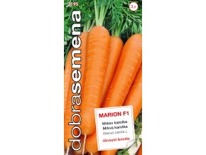 53c32a70 dad8 4b7d bfbc 905394f891f0