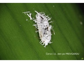 c6d77969 02e2 42c9 b73a 0ebe829c1ba8